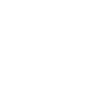 Soft breathable fabric