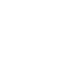 Supports spine alignment